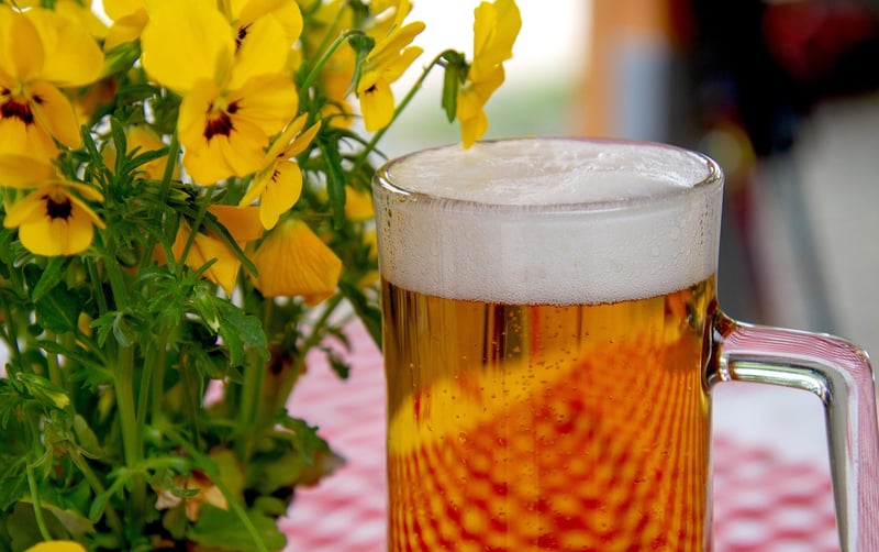 Oktoberfest Food Festival